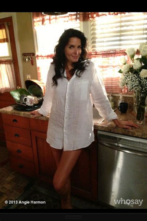 Angie Harmon Porn Videos 